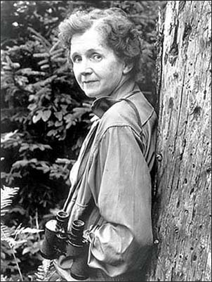 This #WomensHistoryMonth we’re proud to celebrate the legacy of Rachel Carson. A nature writer and a marine biologist, Carson was credited with igniting the #environmentalmovement and the creation of the @EPA: go.usa.gov/xEG9G #InternationalWomensDay #WomenInScience