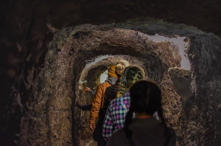 visitchatt's tweet photo. Take an underground adventure and be a cave explorer at @seerubyfalls during Chattanooga's Spring Break Safari 3/9-4/7: https://t.co/TxC5OpYQ3j #ChattanoogaFun #SpringBreakSafariCHA https://t.co/nUfxDnkfW7