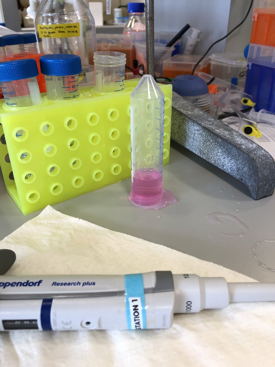 bradyajohnston's tweet image. I dropped my falcon tube of sample and now it’s just sitting there like this.... what do I do??

I’ve left it for like an hour because I don’t want to spill more