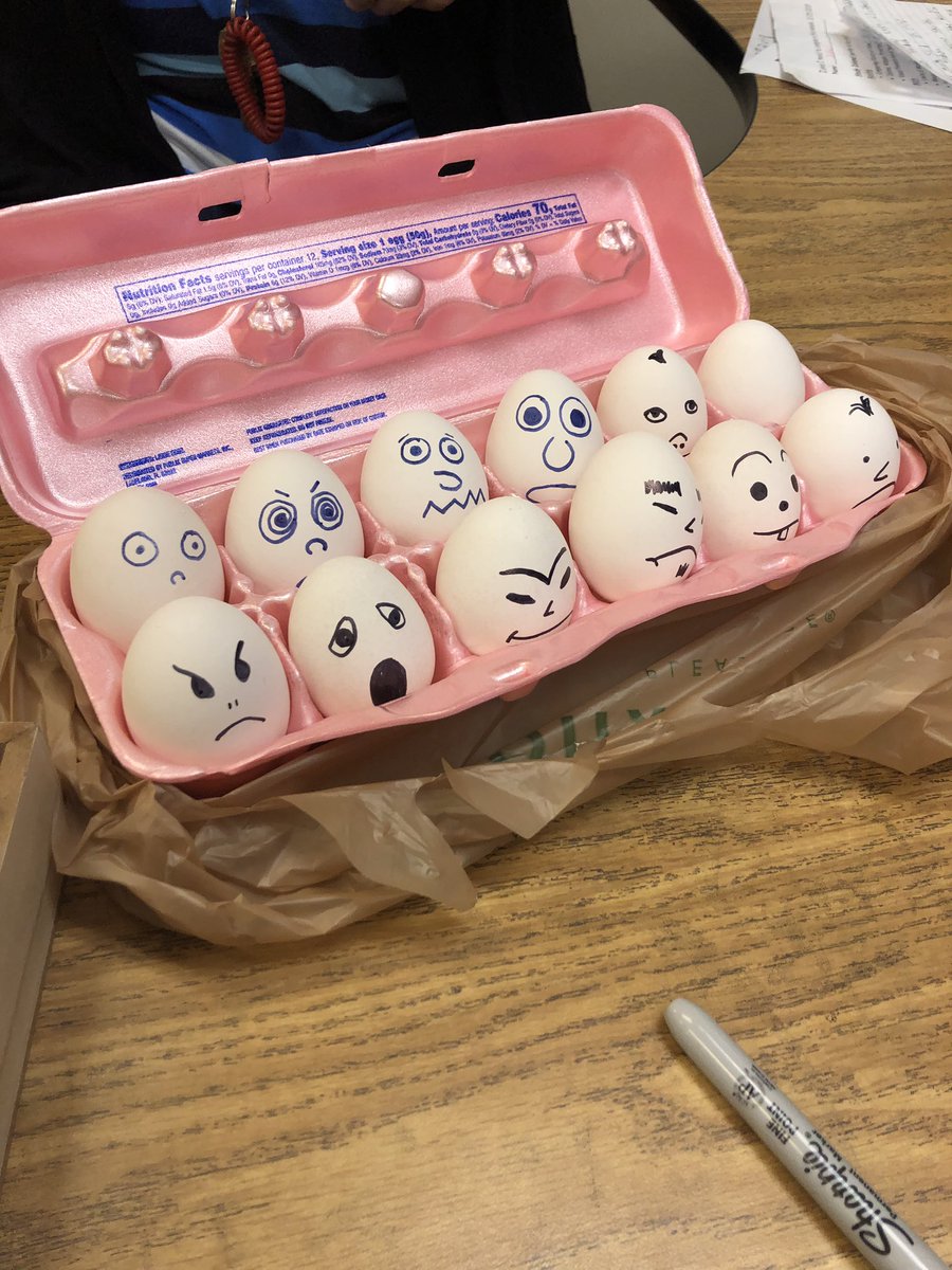casey_morito's tweet photo. Our egg safety prototypes were super creative during our egg drop today! We only lost two eggs:) #dolphinstrong @HOMdolphins https://t.co/qMZoK1xGZP
