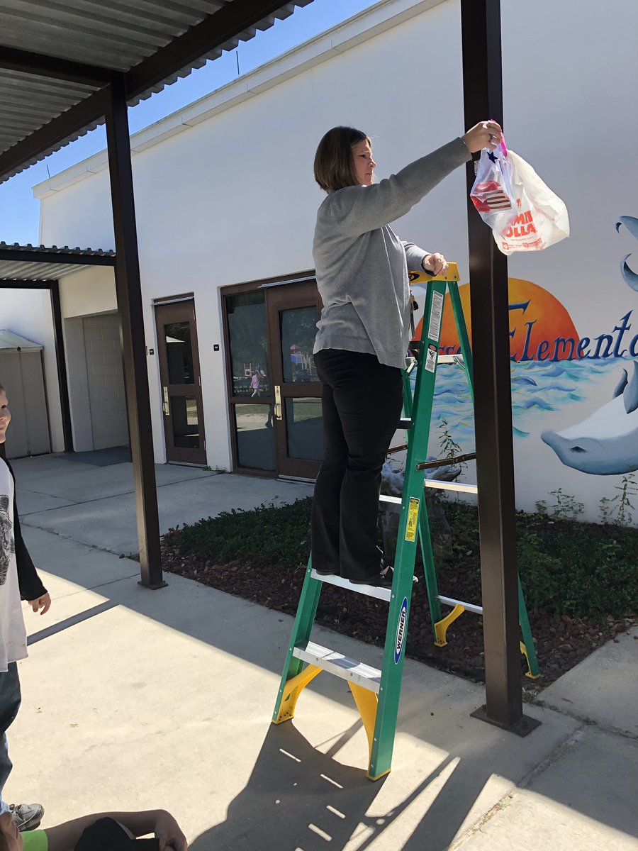 casey_morito's tweet photo. Our egg safety prototypes were super creative during our egg drop today! We only lost two eggs:) #dolphinstrong @HOMdolphins https://t.co/qMZoK1xGZP