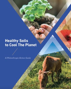 With the interest in #regenerativeagriculture and #soilhealth exploding, the timing is perfect for the release of the Healthy Soils to Cool the Planet: A Philanthropic Action Guide. An excellent resource for funders and investors! noregretsinitiative.com/2019/03/health…