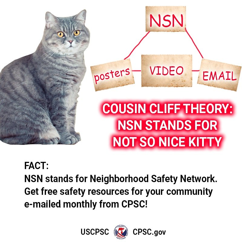 Cliff Theory: NSN stands for Not So Nice Kitty.

Fact: NSN stands for Neighborhood Safety Network.