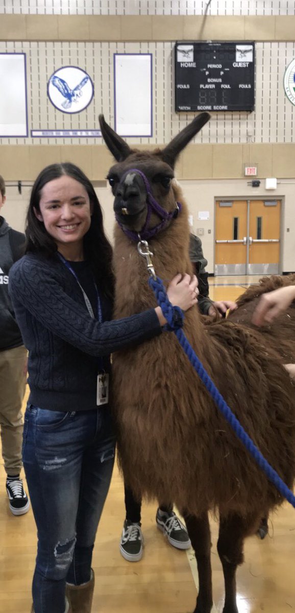 MrsJSmithRHS's tweet photo. Thanks @RHS_STUGO for the best part of my day today...hugging cinnamon the llama!! Everyone should hug a llama 🥰 https://t.co/9xSTUXHU3R
