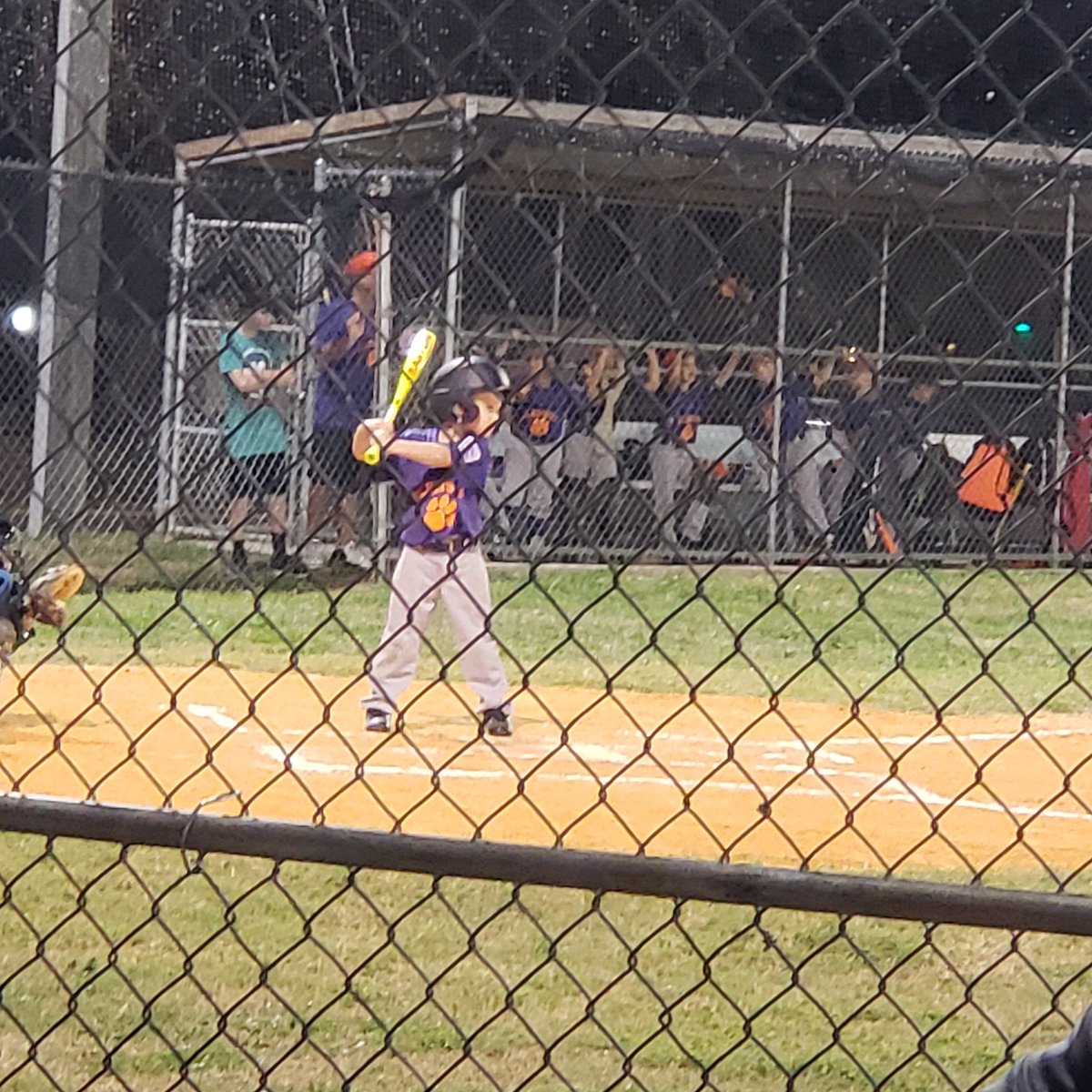 MrsLaPlatney's tweet photo. Got to watch my "school son" play baseball tonight. Bonus....got to see my student (his teammate) hit a home run!  Way to go Clemson Tigers...still undefeated!! 🐯🐯🐯🐯 #whll #baseball #springnights #clemsontigers https://t.co/spnuKKUsAN