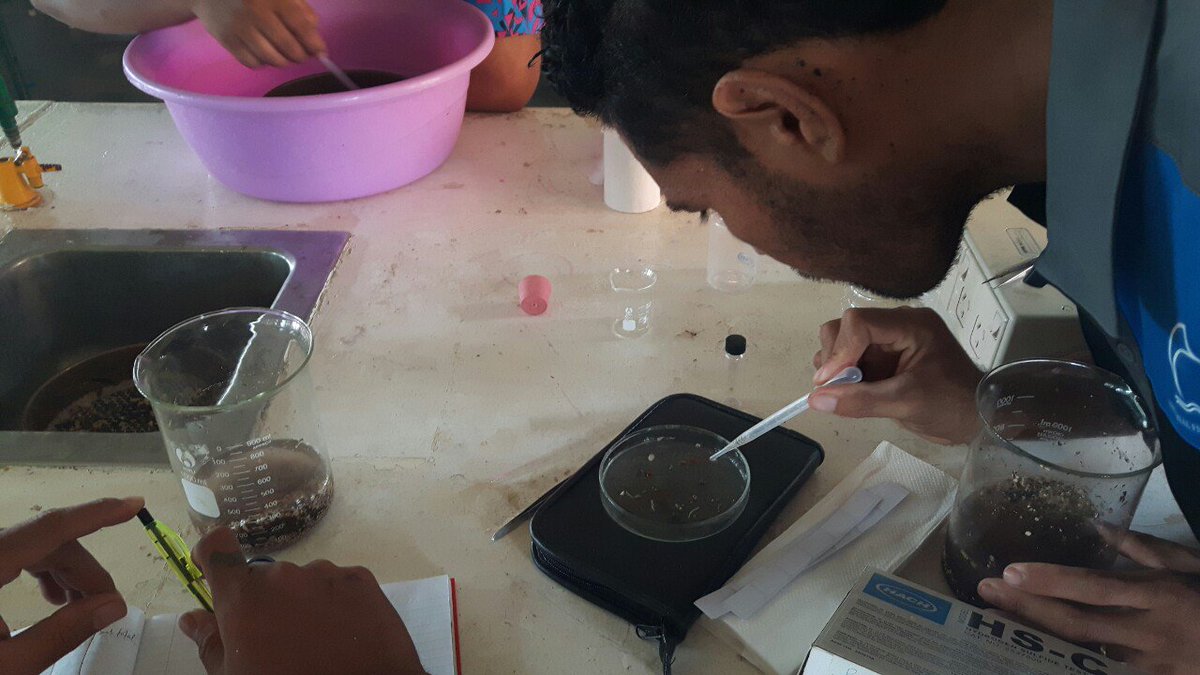 uspmarine1's tweet photo. #TeamSMS is also running classes at the @UniSouthPacific #Tonga campus this semester. This week our #MS312 Marine Pollution cohort conducted their coastal sediment & microplastics practical. We now have data from another
Pacific island country other than Fiji! ๐ธ: @FijiJasha https://t.co/1vLBPGLc9a