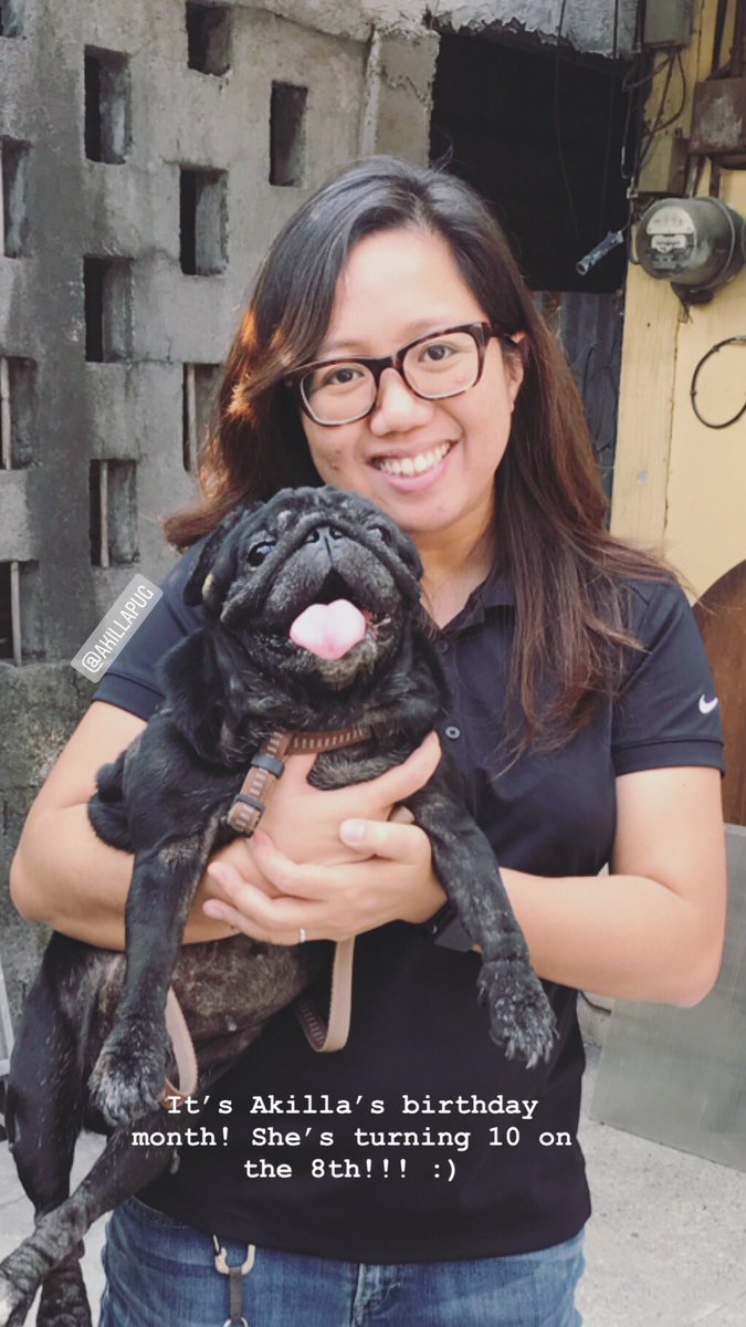 Akillapug tweet picture