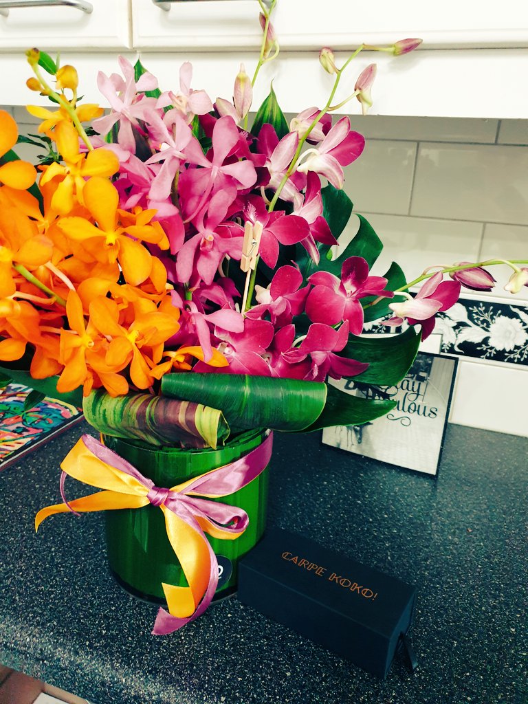 Shaye Thyer tweet media
