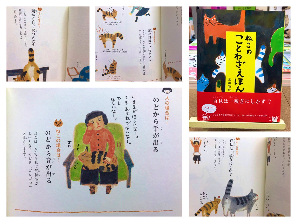 猫本専門 神保町にゃんこ堂 姉川書店 Pa Twitter 頭かくして尻つきだす 百間は一嗅ぎにしかず ねこのことわざもイラストも秀逸 ねこのことわざえほん 人の場合のことわざが猫バージョンになると これがかなりツボります ひねりすぎてないところも これ 猫本専門 神保町にゃんこ堂 姉川書店 Pa Twitter 頭かくして尻つきだす 百間は一嗅ぎにしかず ねこのことわざもイラストも秀逸 ねこのことわざえほん 人の場合のことわざが猫バージョンになると これがかなりツボります ひねりすぎてないところも これ