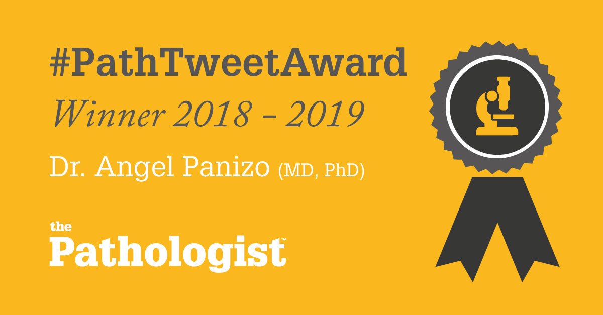 smlungpathguy's tweet photo. Thank you @pathologistmag for putting together these SPECTACULAR graphics for the 4 winners of #PathTweetAward 2018
@RaulSGonzalezMD
@angelpanizo1
@HeartPathology
@drmarmolani
We are grateful for your support!
@DrFNA @DraEosina @SGottesmanMD @GeronimoJrLapac #pathology https://t.co/VzeRzq0G27