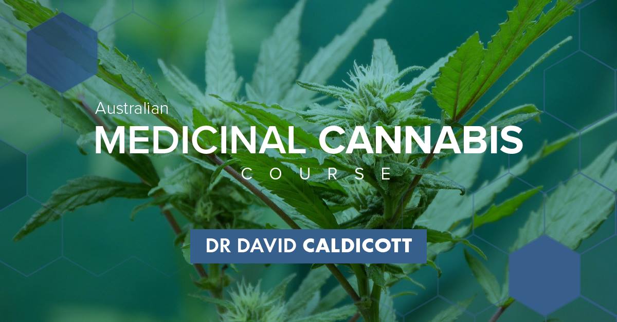 UnitedInCompas1's tweet photo. The Australian Medicinal Cannabis Course will take place during our 2019 UIC Australian Medicinal Cannabis Symposium.

https://t.co/snKJpTQLMU…/

#UICSymposium #DavidCaldicott #MedicinalCannabisCourse
@ACTINOSProject
@AlexWodak
@Dianah_SA https://t.co/ndSniCcG1C