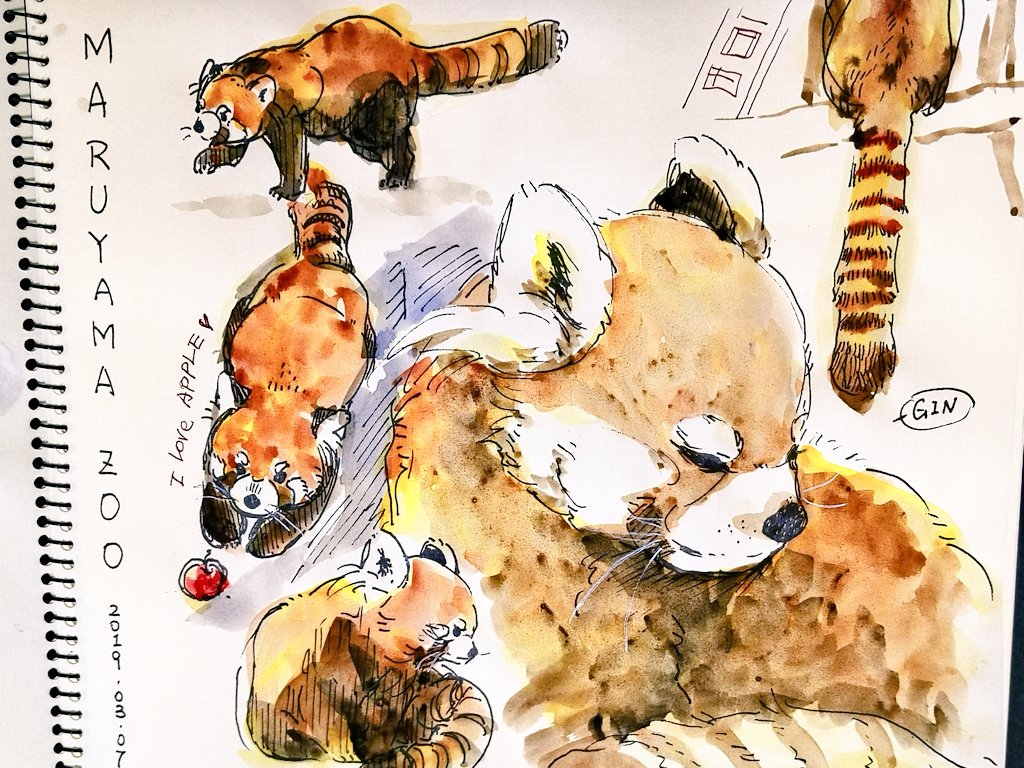 Twoucan 円山動物園 の注目ツイート イラスト マンガ コスプレ モデル Twoucan 円山動物園 の注目ツイート イラスト マンガ コスプレ モデル