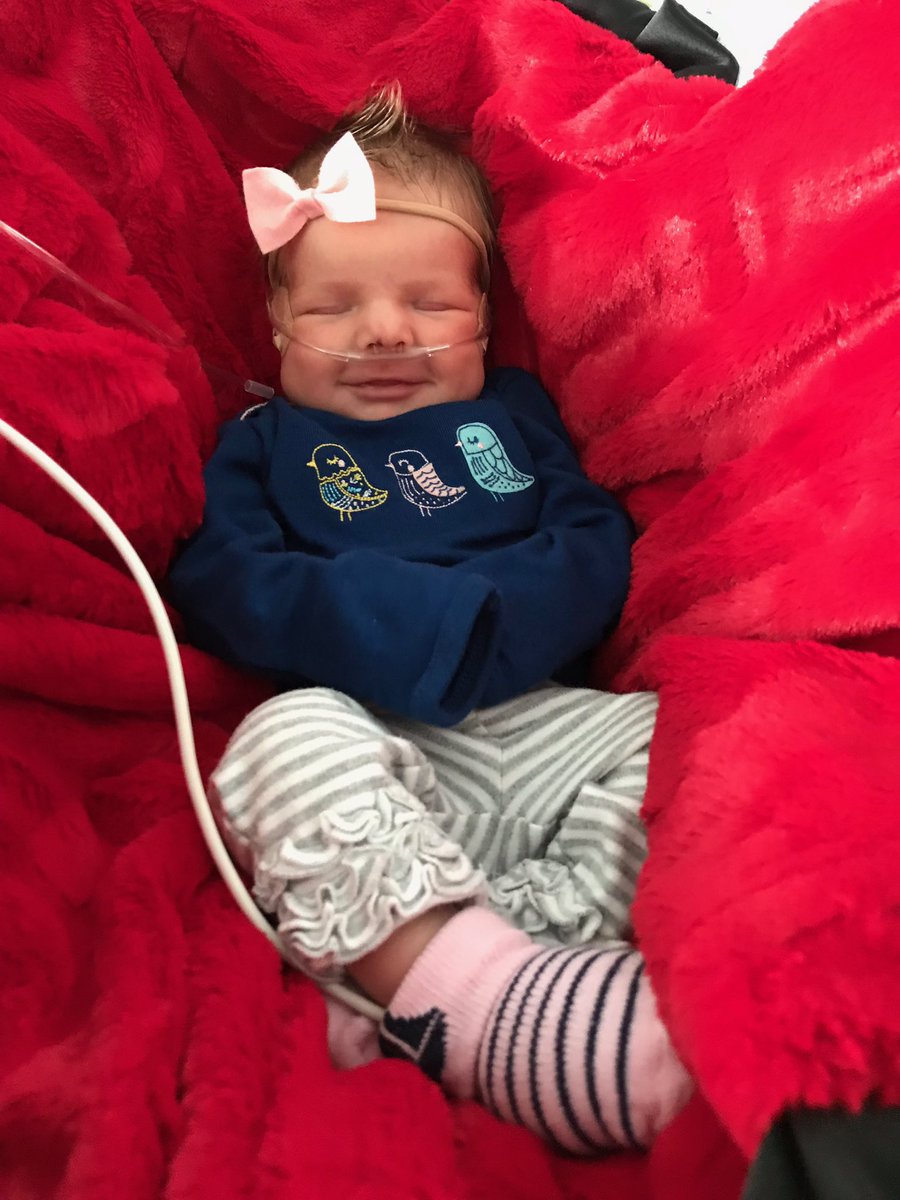 n8taggart's tweet photo. Her first couple of minutes on this earth were rough but ten days later she is all smiles.  So grateful to be the Grandpa of this beautiful child. https://t.co/0hbQMnXbKU