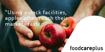 When cross-docking, apples often reach their market faster using the last port of call in Europe and direct services. At the same time, exporters benefit a larger pool of reefer container availability. #fcpfreshproduce #perishables #apples #logistics #shipping
