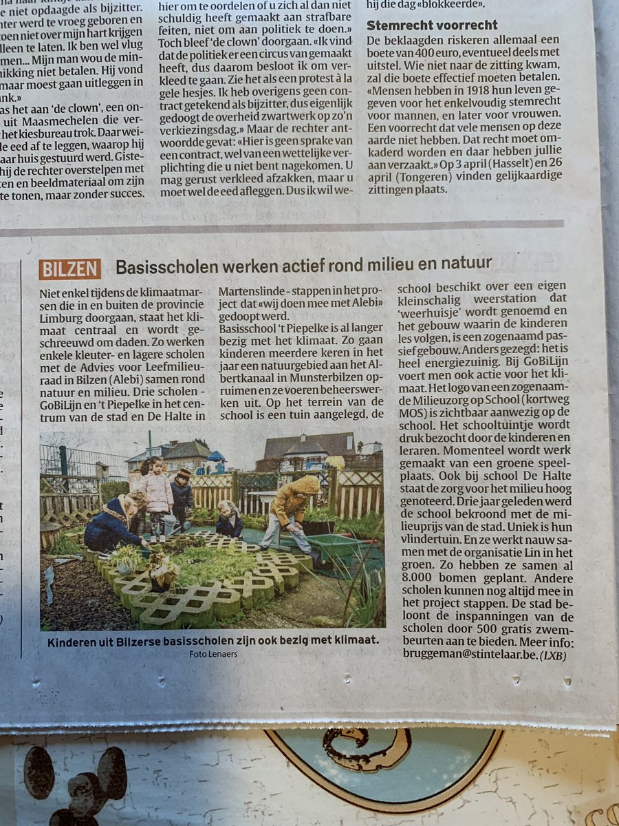 GoBiLijn's tweet photo. We staan in de krant! #kleutersdragenhunsteentjebij #mos #klimaatopwarming @StadBilzen @goossensSandy @cammieke https://t.co/LTYnuMb5hW