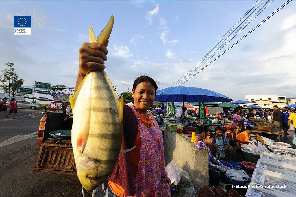 Women in the fishing &amp; aquaculture sector are directly involved in all the processes in the value chain. However their role is not always formally recognised despite their work. Today we celebrate those amazing women &amp; their powerful stories. #Women in fishery #IWD2019 #SGD5