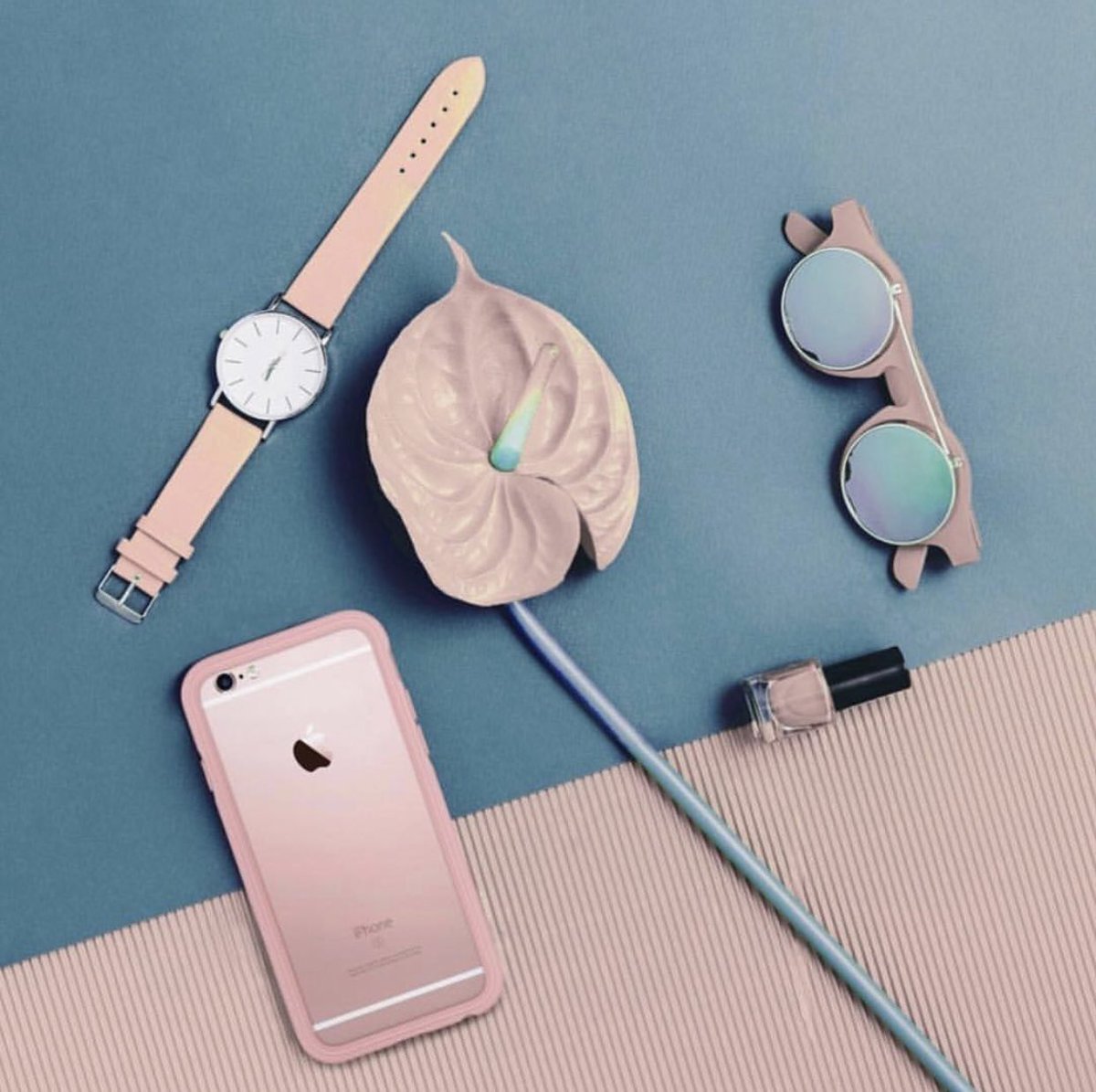 PhoneProUAE's tweet photo. The toughest cases for the strongest women. Rhinoshield. Buy now @souq at https://t.co/rdMQsJVyVC
.
.
#HappyWomensDay2019 #InternationalWomenDay2019 #DubaiLitFest #INDvAUS #IWD2019 #InAbuDhabi #BalancedForBetter #يوم_الجمعه #يوم_المراة_العالمي https://t.co/F7c6uFgHkw