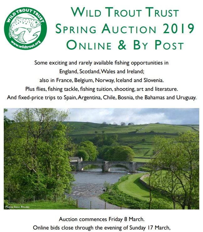 DRUM ROLL... this year's #WTTauction has just gone live on eBay, with more than 300 exciting lots to help you plan your #WTTseasonofadventures for 2019. Happy bidding! Please retweet and click here for a link to all the lots >>  wildtrout.org/content/auctio…