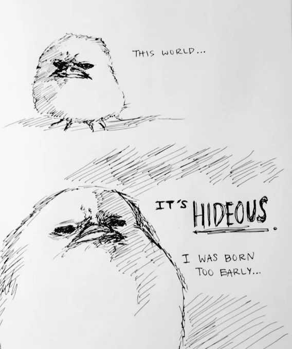 a troubled bird 