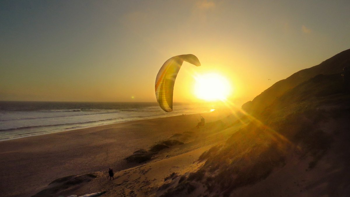 Travelbug Rose🐞 tweet media