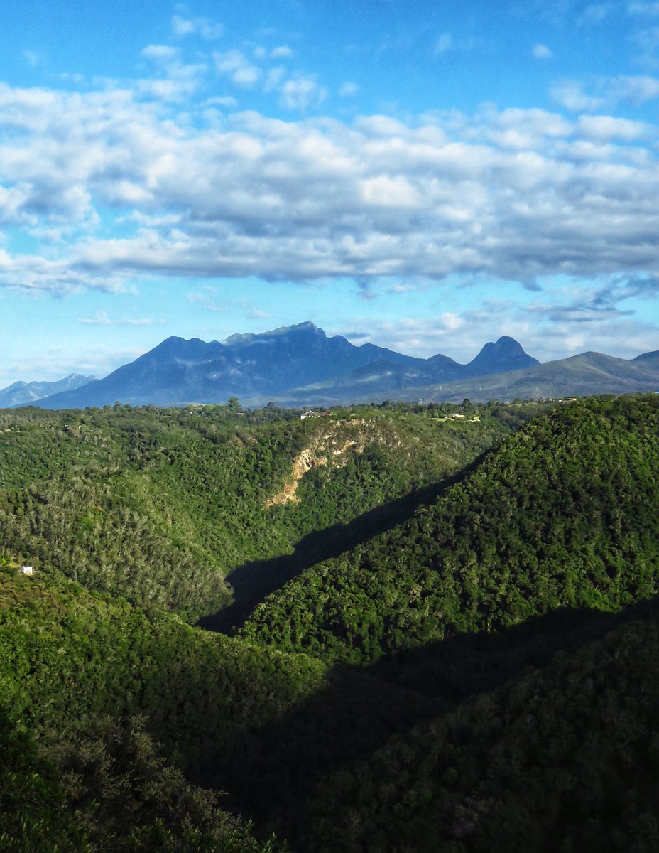 Travelbug Rose🐞 tweet media