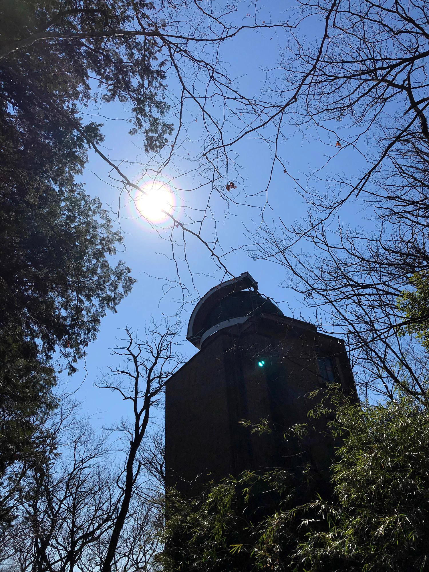 花粉光環は綺麗だけれどスギ花粉大量飛散ってことらしい