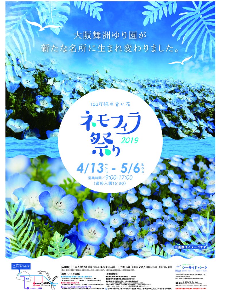 大阪観光局 公式 على تويتر 大阪舞洲ゆり園が 生まれ変わりました 鮮やかなブルーに一面が染まり 海と空の青が織りなす絶景 新たな舞洲のスポットへ お出かけしませんか 大阪まいしまシーサイドパーク ネモフィラ祭り19 19年4月13日 土 5月6日 月