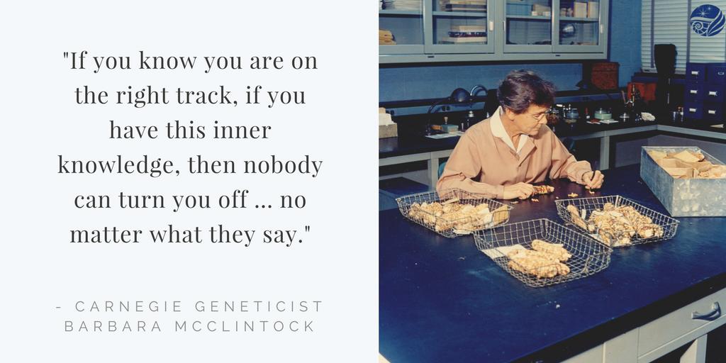 Carnegie Science (@carnegiescience) on Twitter photo This International #WomenInScience Day we are remembering some of our game-changing Carnegie scientists, like
<a href="/CarnegieDevBio/">Carnegie Embryology</a>'s Nobel winning Barbara McClintock, whose work on "jumping genes" was initially dismissed, but eventually revolutionized her field. This International #WomenInScience Day we are remembering some of our game-changing Carnegie scientists, like
<a href="/CarnegieDevBio/">Carnegie Embryology</a>'s Nobel winning Barbara McClintock, whose work on "jumping genes" was initially dismissed, but eventually revolutionized her field.