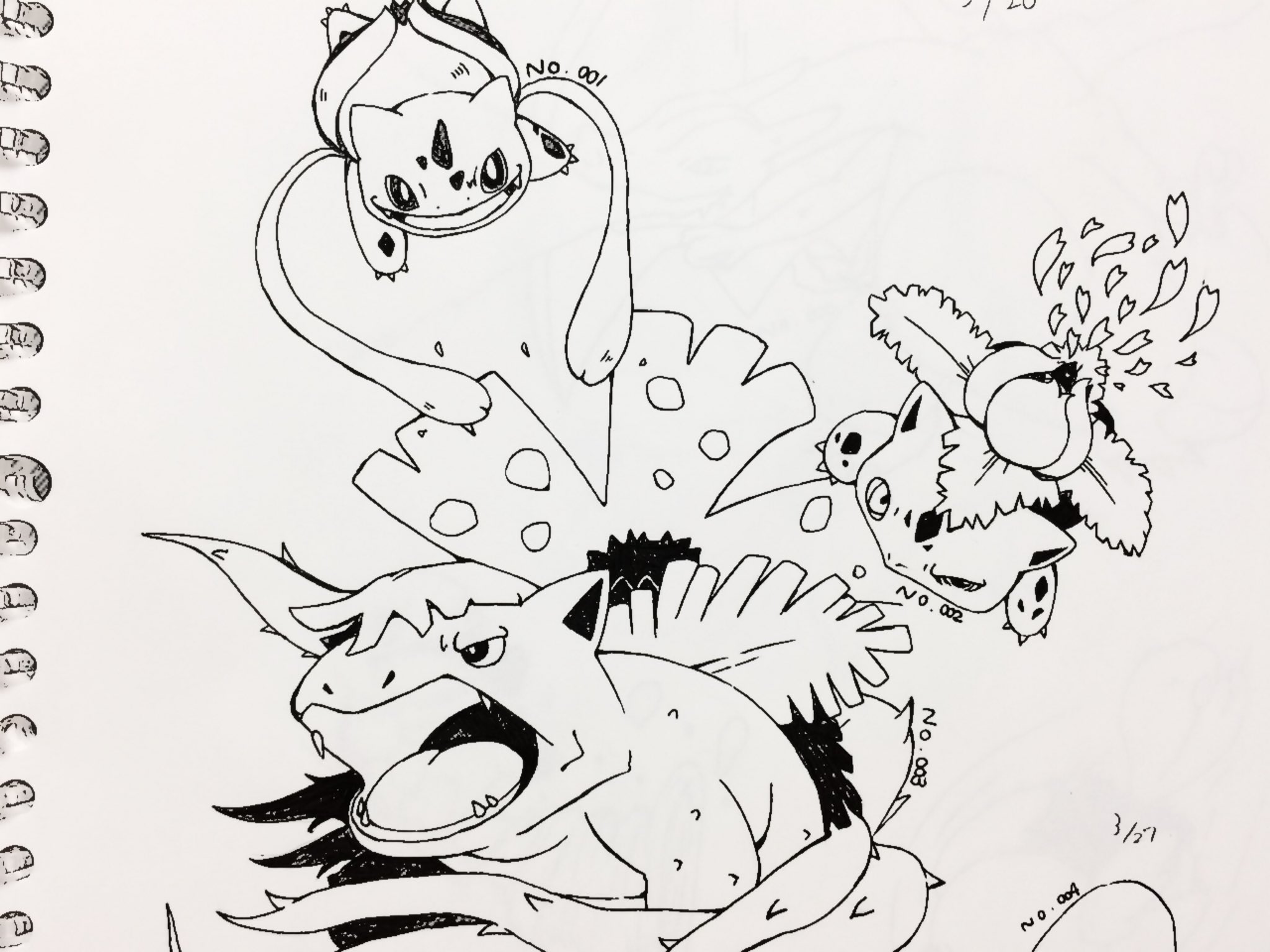 つるこ 最近 仕事が忙しくて Twitterをあまり開けておりませんs ミ 過去絵を貼ってまたお茶を濁す男 ポケモン ポケモンイラスト カプ コケコ カプ テテフ フェローチェ フシギダネ フシギソウ フシギバナ