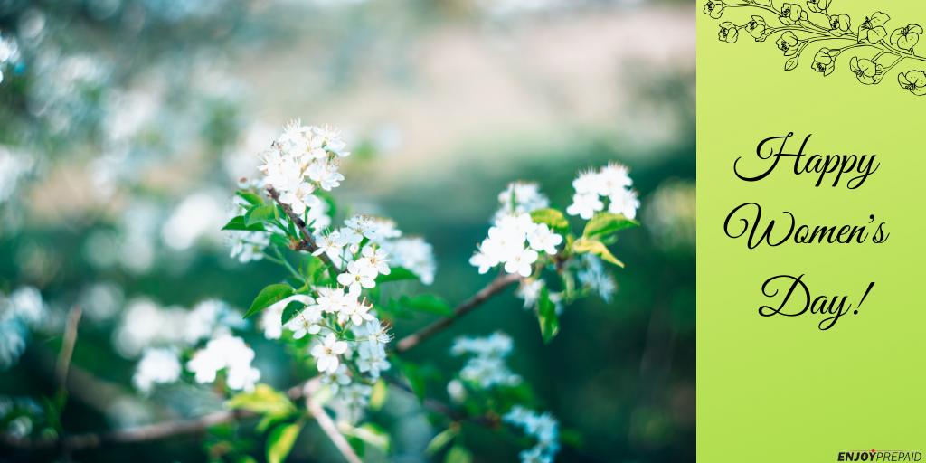 Wishing a Happy International Women's Day to all the ladies! #InternationalWomensDay2019!