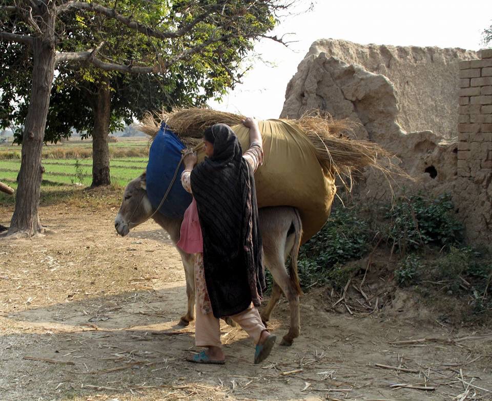 momentmemori's tweet photo. #Pakistan #InternationalWomensDay
#HappyWomensDay2019 https://t.co/HdJkehQuYI