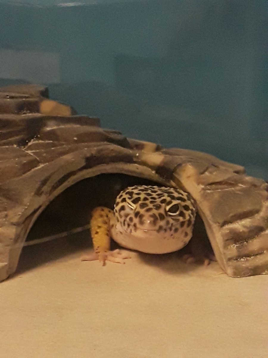 Milkshake 💜 tweet media