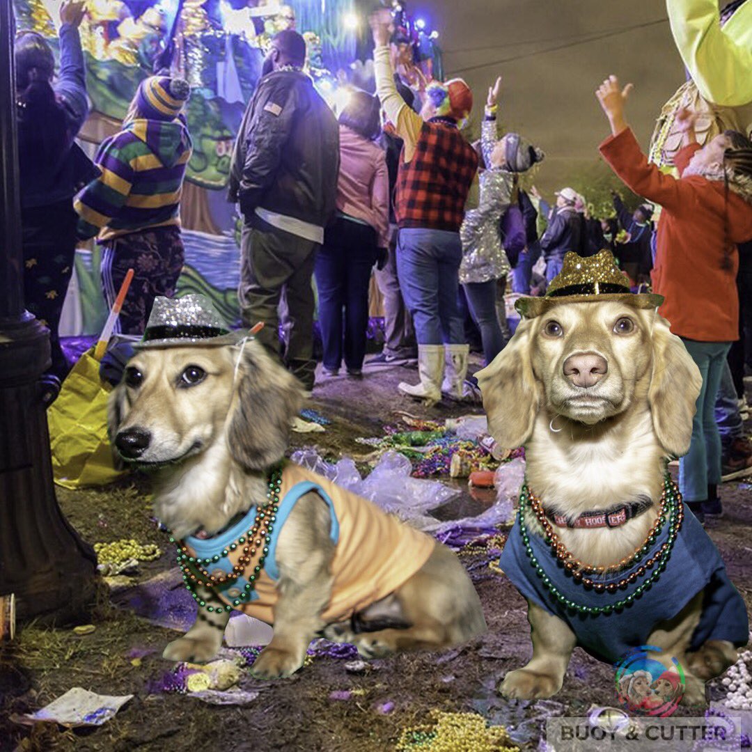 BuoyCutter's tweet photo. Who cleans up after the party is over!?!?! 
#mardigras #dogsofinstagram #dogsoftwitter #adorabledogs #comedy https://t.co/PfO9KNa0WR