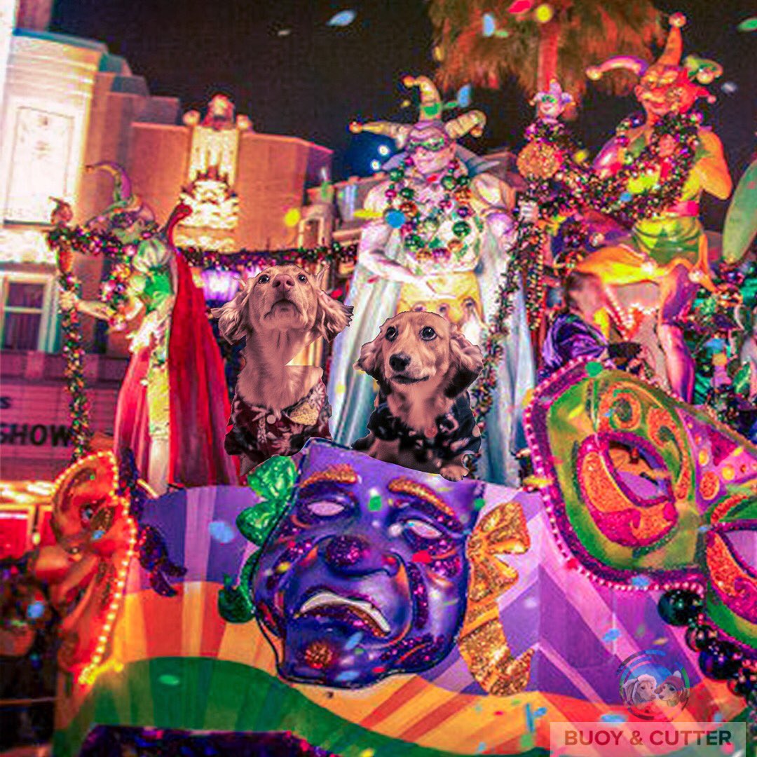 BuoyCutter's tweet photo. In the middle of it all there were two party pups 😂😂
#mansbestfriend #mardigrasmadness #MardiGras #dachshunds #dogsoftwitter #cutedogs #humor https://t.co/ot1Pv1FTZp