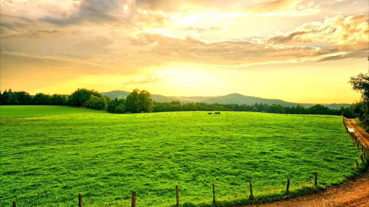 FarmerAlexE's tweet photo. For those who missed it, I am onto pastures new after over 4.5 years at #sagepeople. My first week at #incopro has been an absolute blast - legal tech is a fantastic place to be!  Keep following me for all things #customersuccess #customer #legaltech #mediocrejokes https://t.co/4jPAWeSssv
