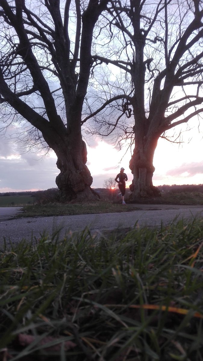 bikeAlottle's tweet photo. Short #run last night, first this week
School filling my days & evenings, having lots of fun - but missing getting out #canthaveitall
#lotsofhomework #backtoschool #gettingeducated https://t.co/NdKGimF5xD