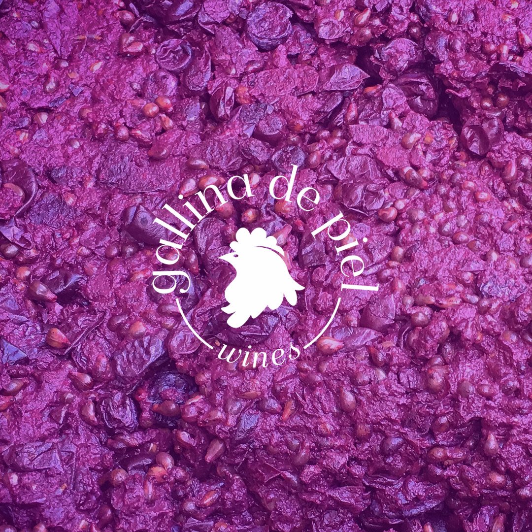 GallinaPielWine's tweet photo. Honrant a totes les #dones - Honrando a todas las #mujeres - Honoring all #women 🐔🐔🐔 #gallinadepiel #bydavidseijas #winefanatic #diadeladona #diadelamujer #womensday https://t.co/ndwzD7bNFo