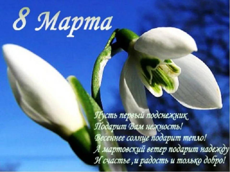 Поздравления в стихах с 8 марта, машина едет картинки
