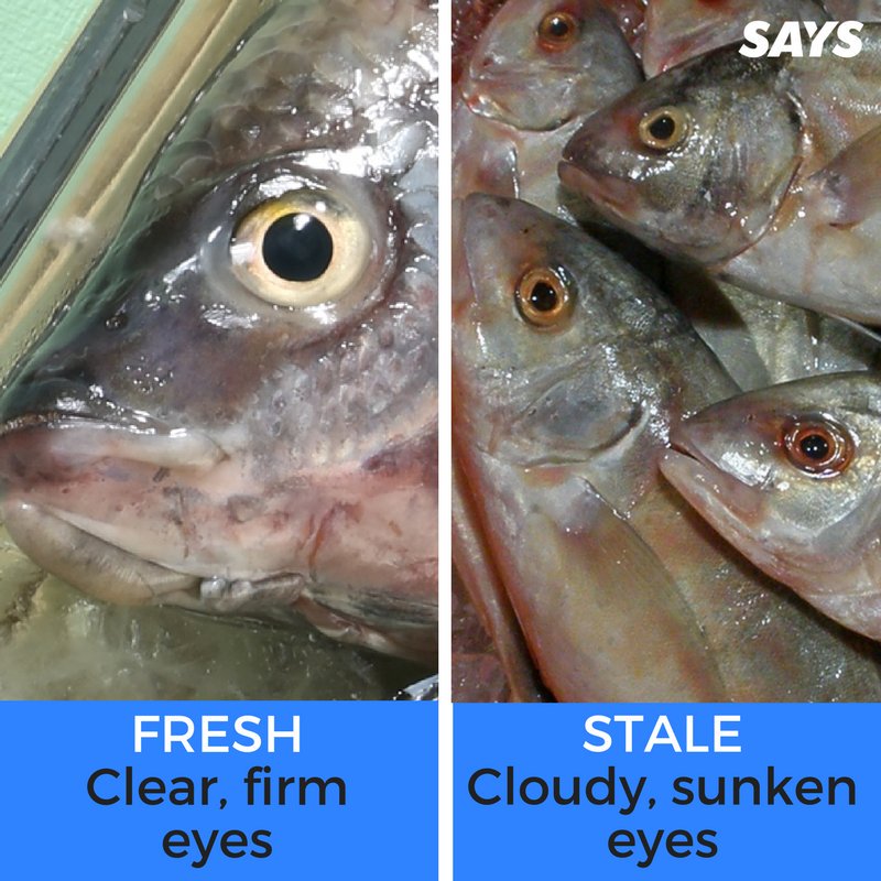 GhazaleeIbr's tweet photo. My sister got food poisoning by eating fish. Be careful how you choose your fish. 

This is the easiest way to spot a fresh fish and a days old fish.

Food poisoning can lead to death. RT to save lives &amp; hey, if you eat a fresh fish you'll taste the sweet bit from the freshness https://t.co/hcT7mC4P4x