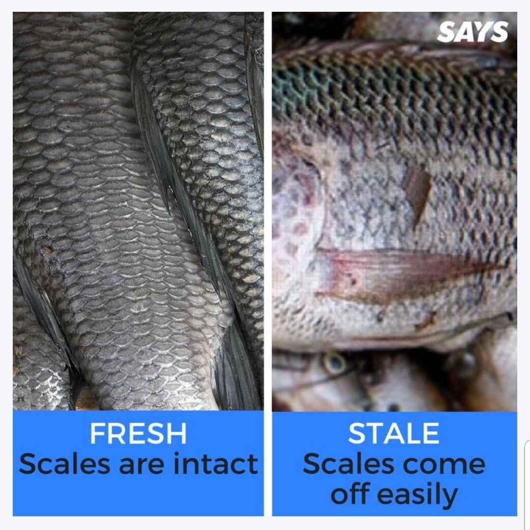 GhazaleeIbr's tweet photo. My sister got food poisoning by eating fish. Be careful how you choose your fish. 

This is the easiest way to spot a fresh fish and a days old fish.

Food poisoning can lead to death. RT to save lives &amp; hey, if you eat a fresh fish you'll taste the sweet bit from the freshness https://t.co/hcT7mC4P4x
