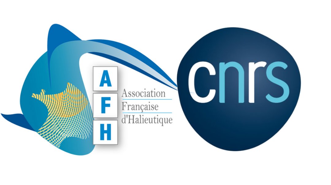 AFHalieutique's tweet photo. 🆕📣 Colloque #AFHal19 26-28juin
🗣️ Conférenciers invités :
Hélène Budzinski, directrice de recherche en #Chimie de l'#environnement et #écotoxicologie @CNRS @INC_CNRS @univbordeaux @labexCOTE ouvrira la session #Pollution.s marines !! 🗑️🏭🛢️🤢🐟
https://t.co/czVcJ7323s https://t.co/wpvmNEKNIG