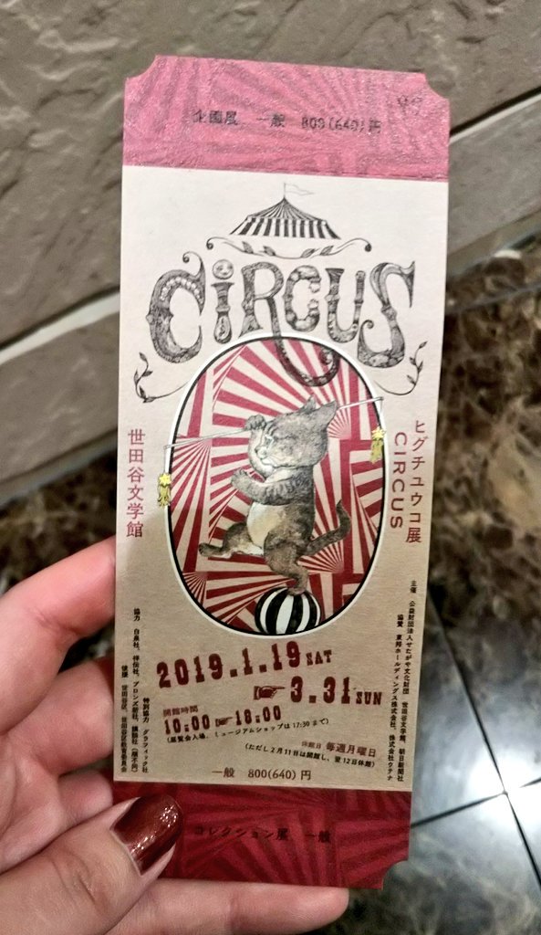 ヒグチユウコ展「circus」観てきました。
チケットからしてサーカスのチケット風で可愛い?
展示のしかたや音楽など凝ってて素敵だった。あと原画はやはり魅力かま増す。 