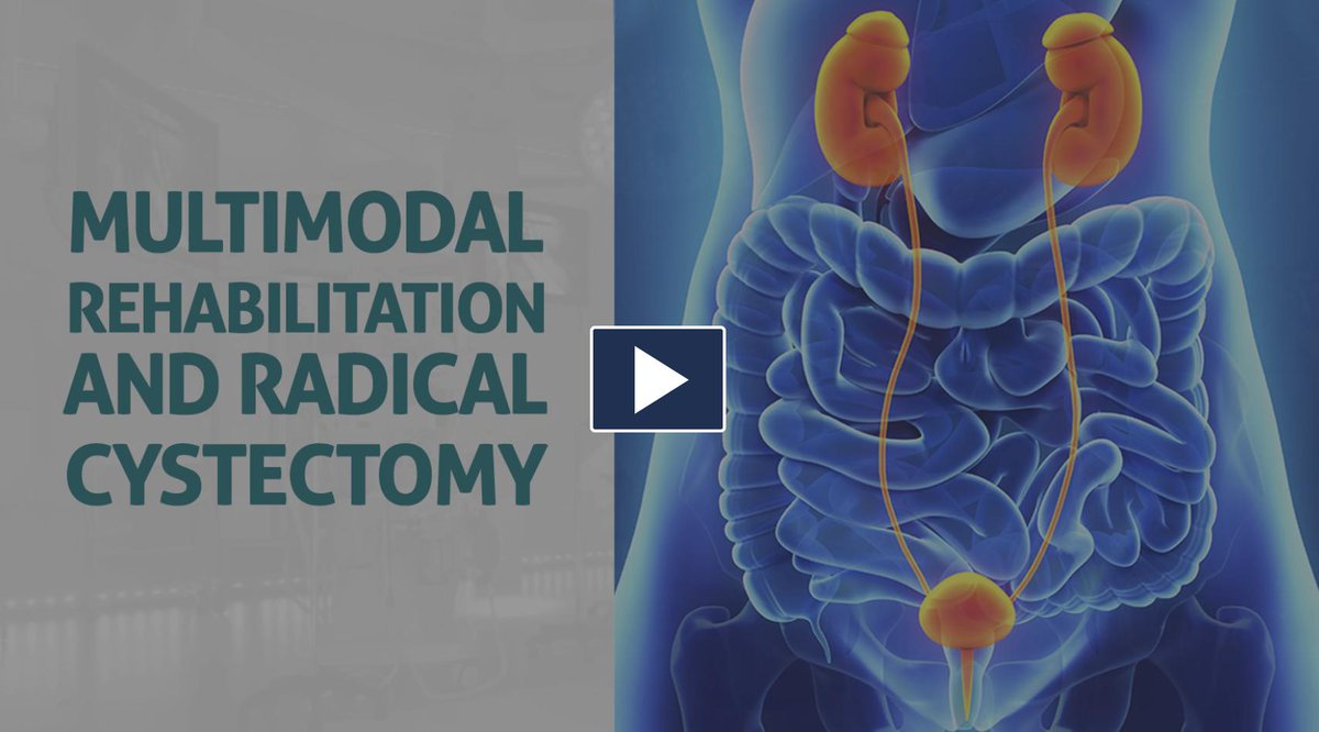 AIS Channel tweet media