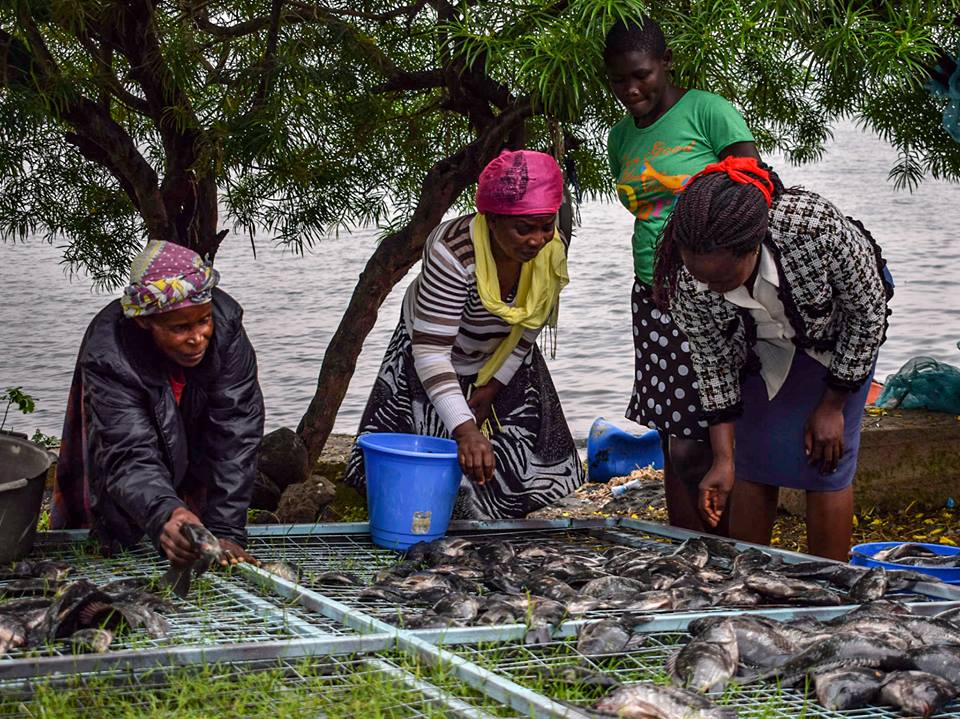 riofishKE's tweet photo. As we celebrate International Women's Day ,our objective is for women in fish industry to earn a decent living and be able to provide for themselves and their families.
Better the balance , better the World! 
#BalanceForBetter . https://t.co/TD329jV7ka