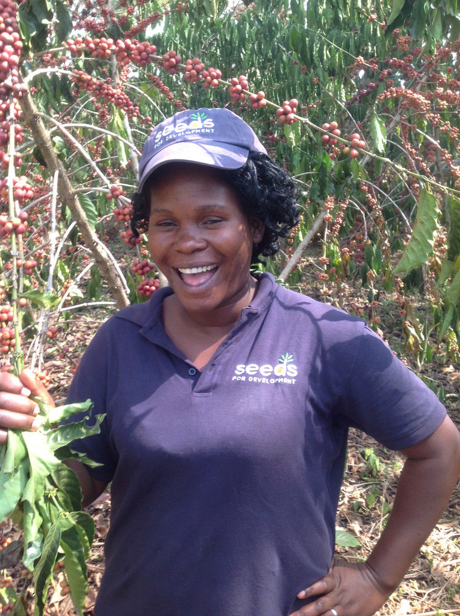 Happy Coffee Bean tweet media