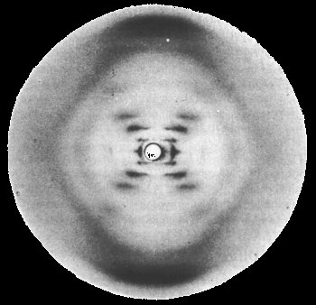Genomics_ICR's tweet photo. Today is #InternationalWomensDay #IWD2019 and we are remembering Rosalind Franklin. Without her important work on DNA structure, our work would not have been possible today. #WomeninSTEM https://t.co/E3TAzKCnmh