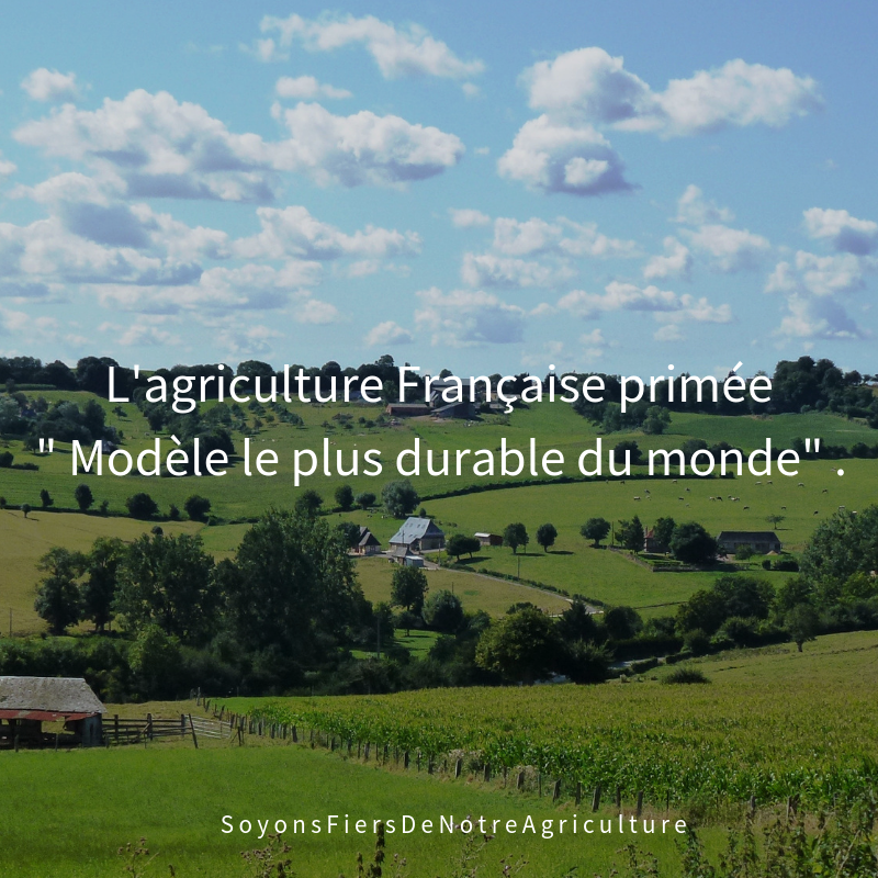 JeunesAgri60's tweet photo. Le saviez vous ?

Chaque année, le magazine britannique «The Economist» publie l'indice de durabilité des modèles agricoles et alimentaires dans le monde. 🌍

Pour la 3e année consécutive, la France est première au palmarès.🏆

Soyons fiers de notre agriculture 🌾🐮 https://t.co/N2gb5maI3e