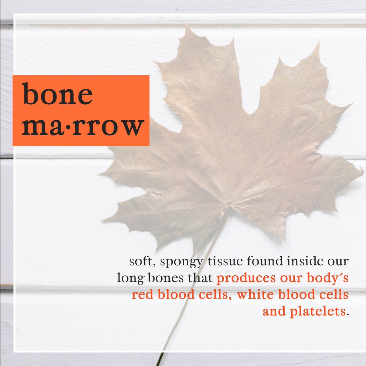 BMDP's tweet photo. What is a bone marrow? What happens if a bone marrow fails? What is a bone marrow transplant? Find out more at https://t.co/UXIVtGXeLe. #bonemarrow #bonemarrowdonation #bonemarrowfailure #bonemarrowtransplant #matchforlife #bethematch #cancer #fightcancer #singapore https://t.co/5j1ACTkqta