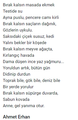 _mediha's tweet photo. #8martdunyakadinlargunu https://t.co/CSMi03zwe5