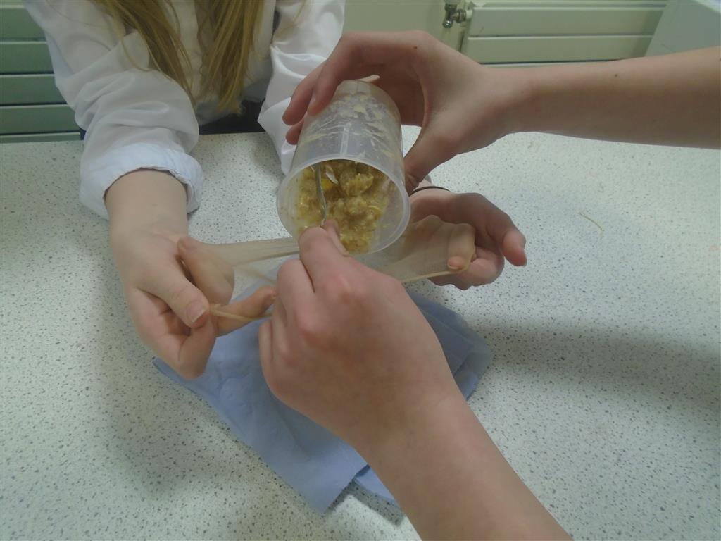 sciencestbedes's tweet photo. #STEMClub has a messy time on Monday using household items to demonstrate how digestion works #breakfast #digestion #bitmessy ๐ฒ๐ฆท๐ฉโ๐ฌ๐จโ๐ฌ https://t.co/3RdFoMutgi